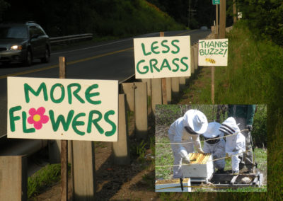 Road signs for Bees